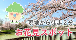 【現地から徒歩2分】地域で愛されるお花見スポット『耳原公園』の桜をご紹介！